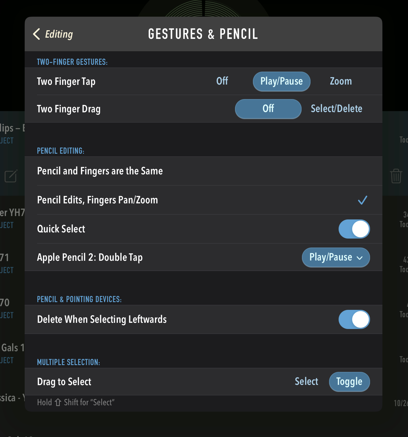 Ferrite’s “Gesture & Pencil” setting screen displaying toggles for various features under Two-Finger Gestures, Pencil Editing, Pencil & Pointing Devices, and Multiple Selection
