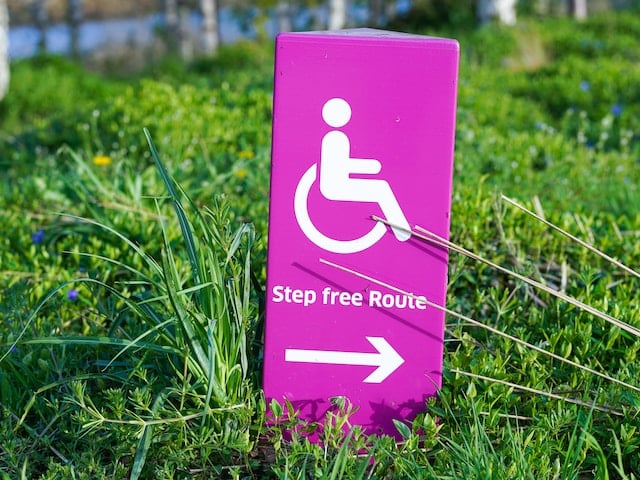 A neon sign in the grass with the disability wheelchair symbol that says 